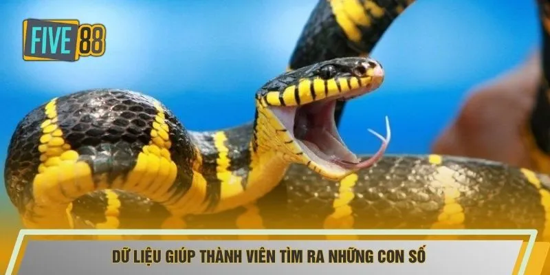 Dữ liệu giúp thành viên tìm ra những con số