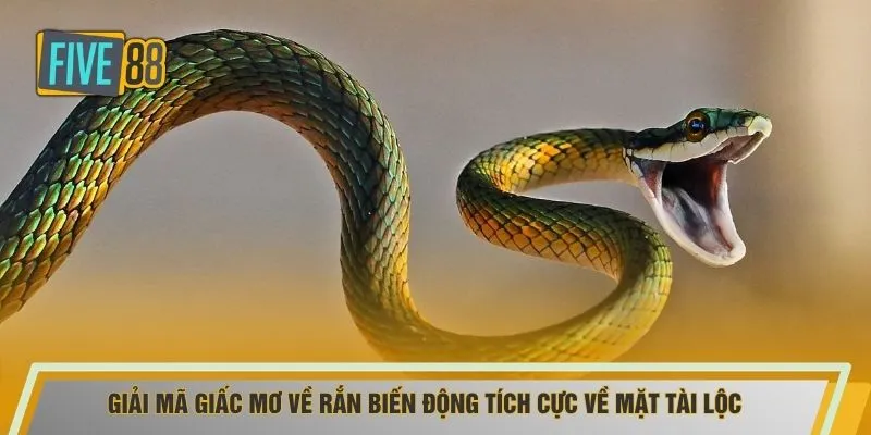 Giải mã giấc mơ về rắn biến động tích cực về mặt tài lộc