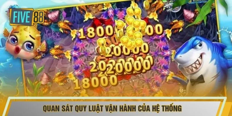 Quan sát quy luật vận hành của hệ thống