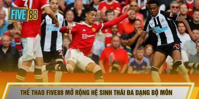 Thể thao FIVE88 mở rộng hệ sinh thái đa dạng bộ môn